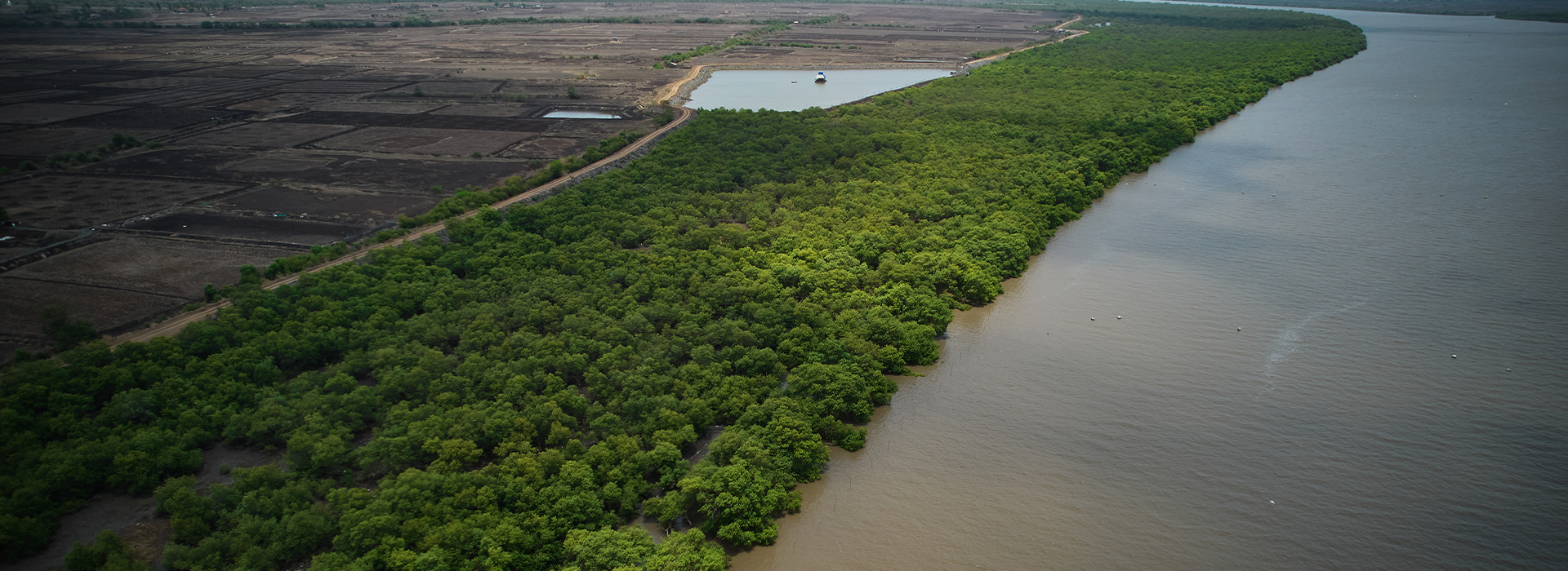 Safeguarding Ecosystems through Biodiversity Conservation