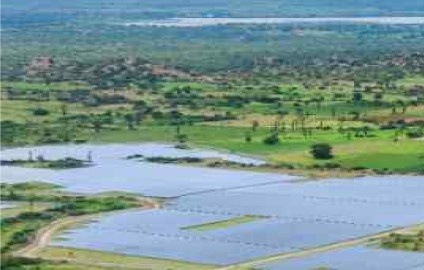 Renewable Energy Shift
