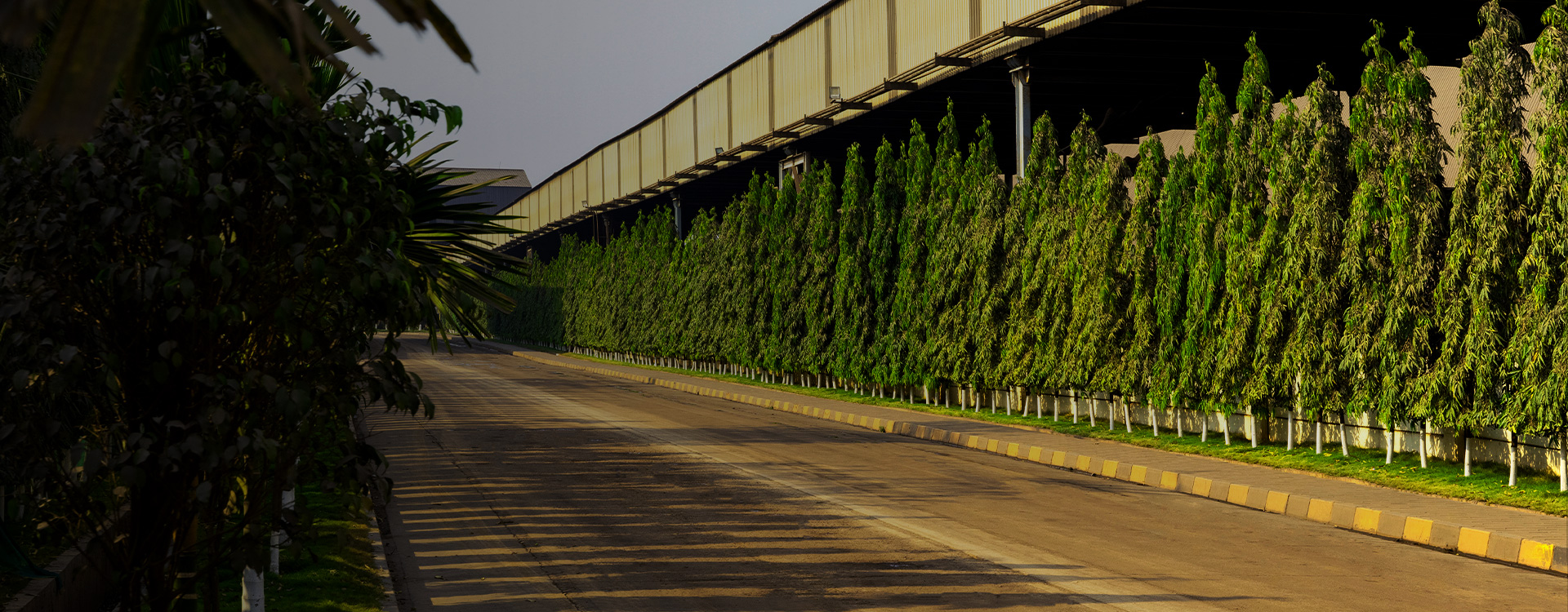 Leading Sustainable Port Growth Towards Net Neutrality
