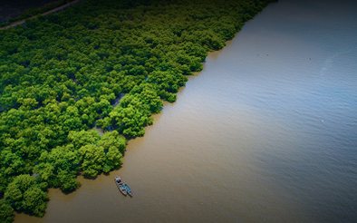 Water Resources
